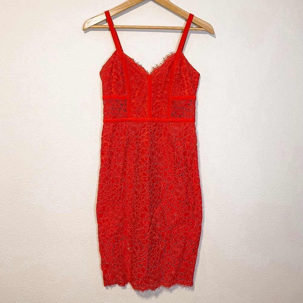 Express Lace Corset Fitted Midi Dress Size 6